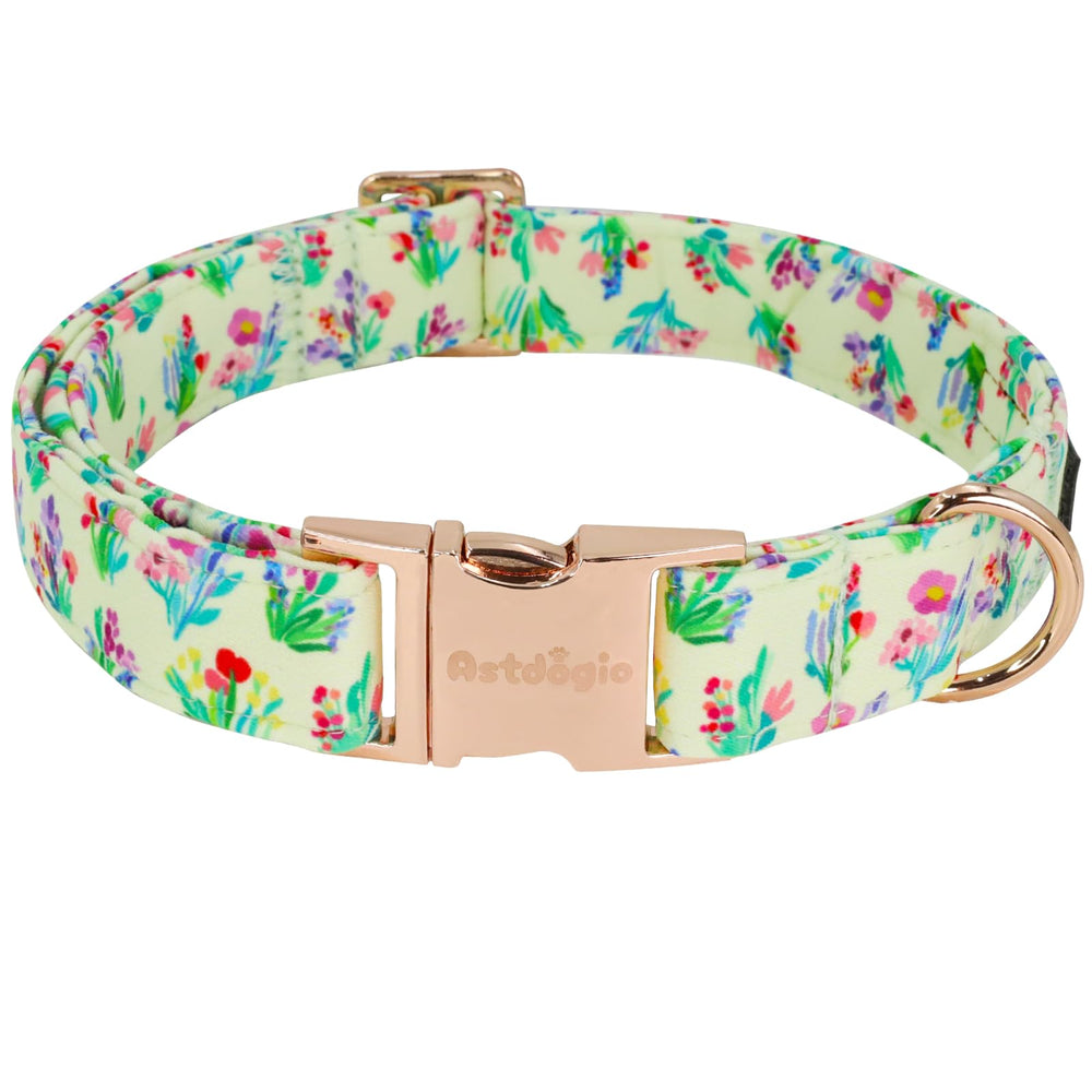 Astdogio floral dog collar on a sunny yellow background adds bright daily-walk style.