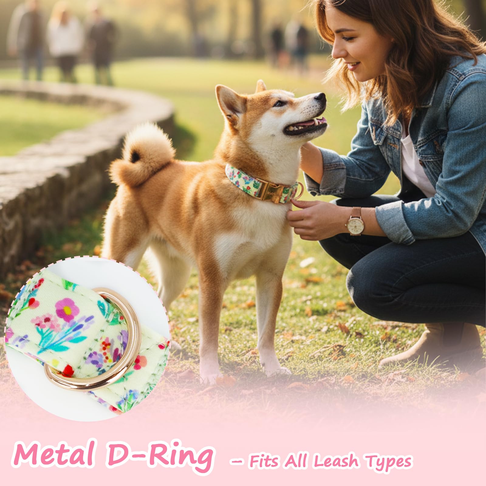 Astdogio four-size range helps you find the right neck fit for any dog.