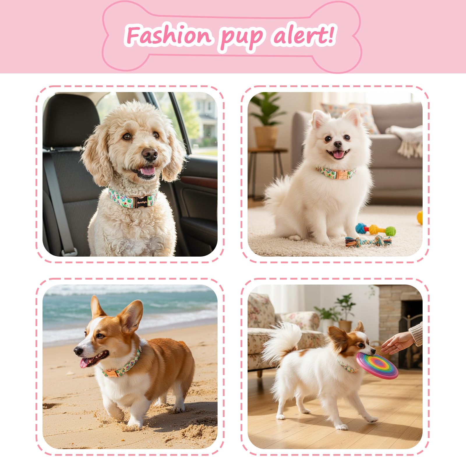 Astdogio floral collar shown on a medium dog during a sunny stroll for daily charm.