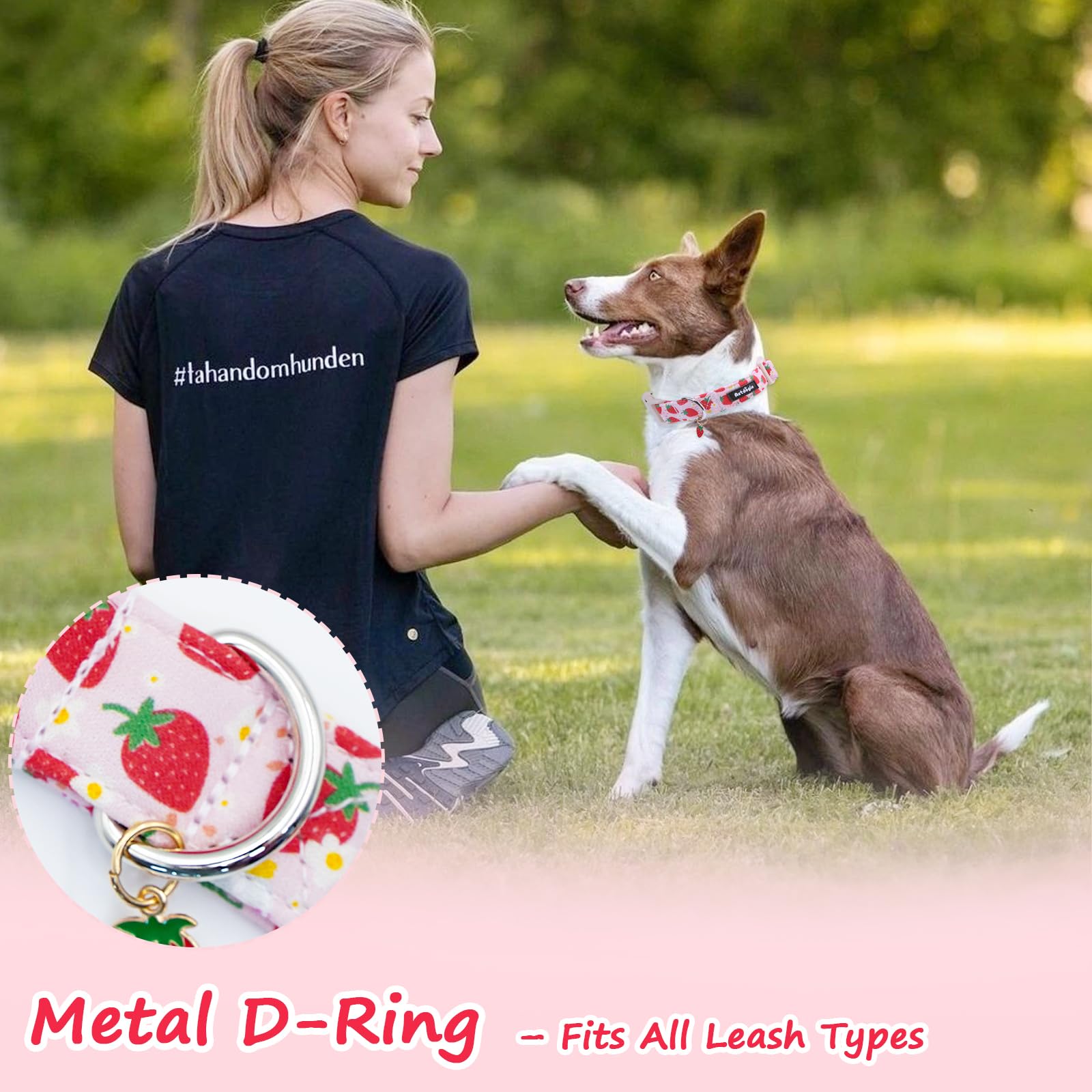 Astdogio Strawberry dog collar charm focus adds playful personality to pets