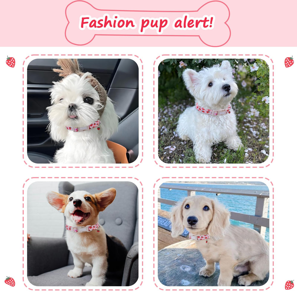 Astdogio Strawberry dog collar quick-release buckle highlights easy on/off for busy owners