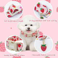 Astdogio Strawberry dog collar size-chart image guides fit from XS to L