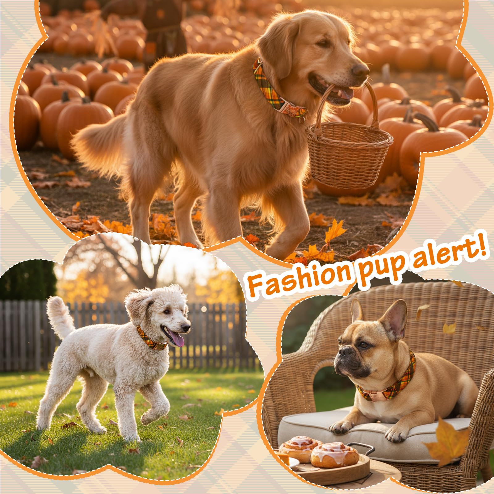 Astdogio stylish-occasions collar elevates look for holidays and photo moments