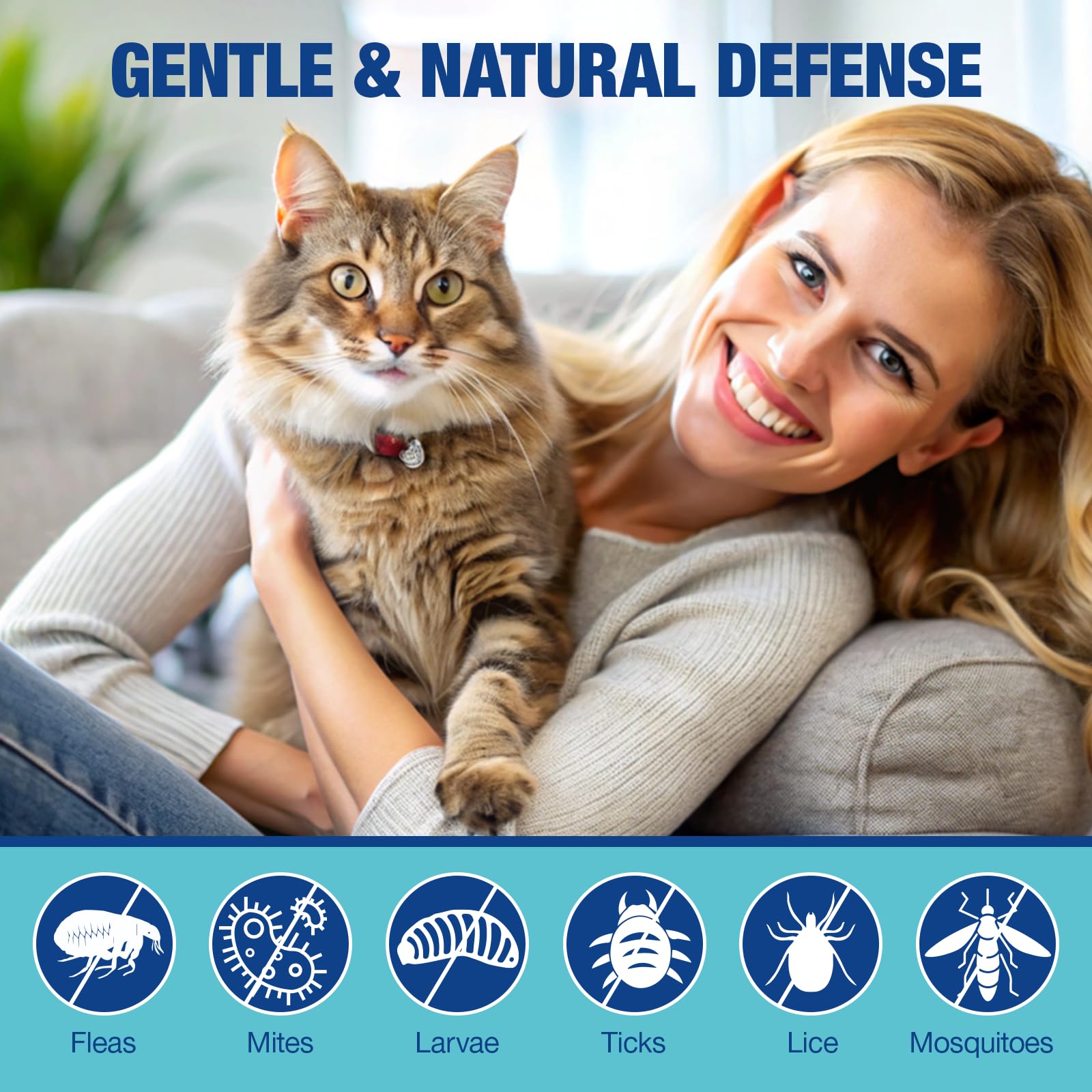 Asumtal skin coat care boost emphasizes glossy coat and overall wellness.