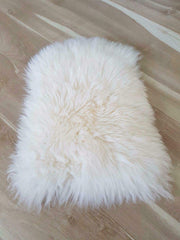 Asuprui pet bed mat 18x12 full view in ivory highlights deluxe size and fit.