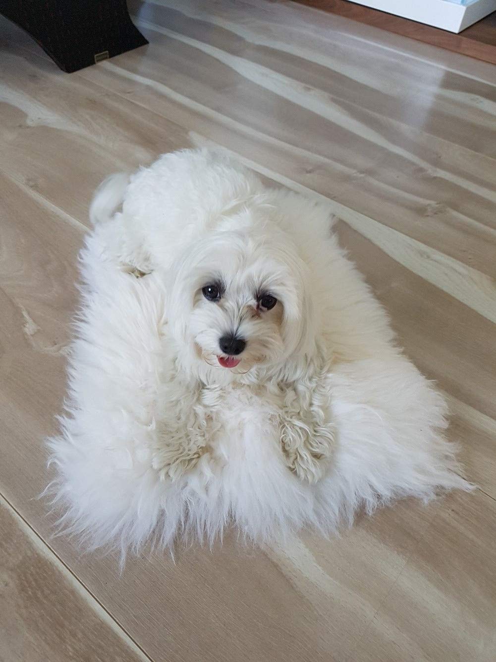 Asuprui pet bed mat chair cushion use adds soft seating for pets and people.