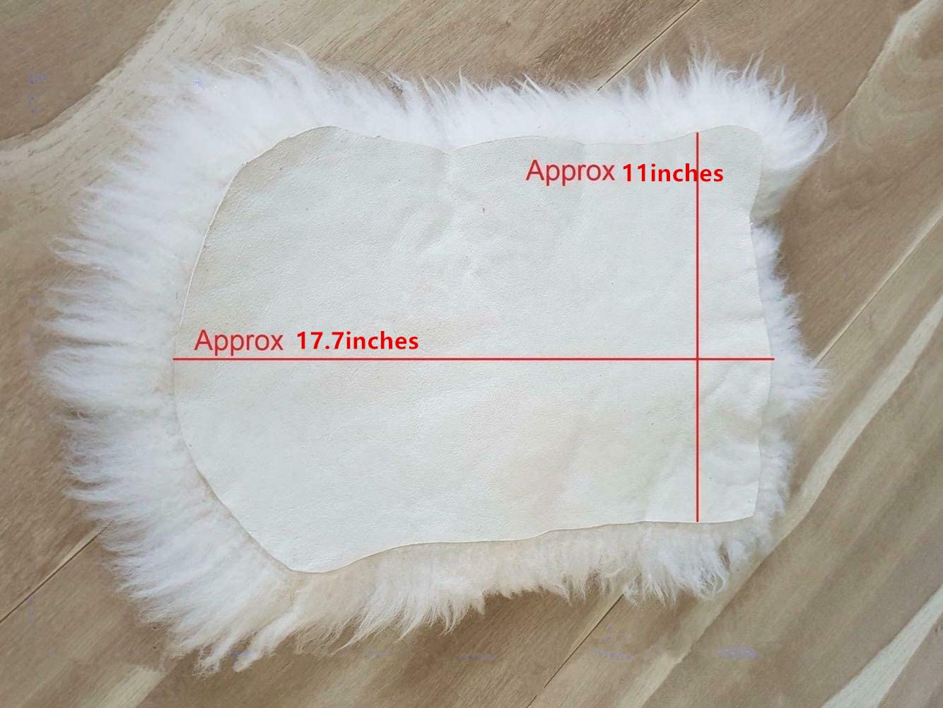 Asuprui pet bed mat motorcycle pad offers cozy comfort on the go.