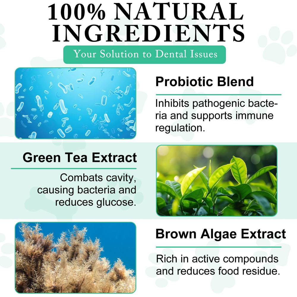 asusxcli dog breath freshening concept image suggests improved breath with powder