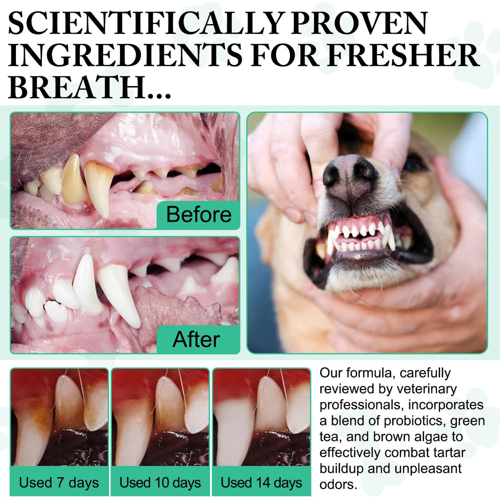 asusxcli dog teeth and gums care concept highlights healthy oral-health potential