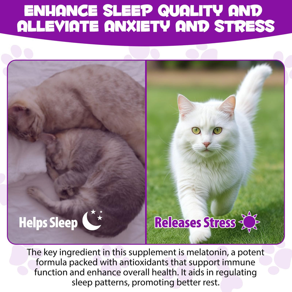Asusxcli melatonin for cats bedtime scene suggests calmer grooming sessions.