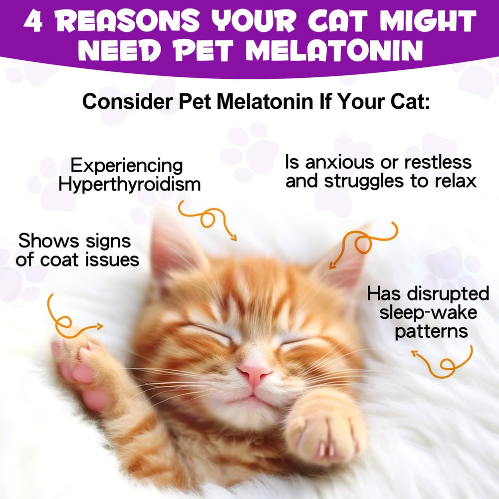 Asusxcli melatonin cats treats on dish imply gentle relief during grooming.