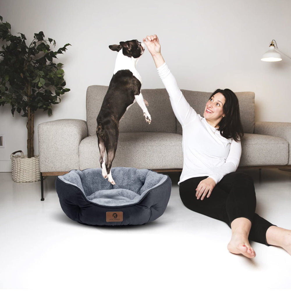 Asvin machine-washable Sherpa bed for easy cleaning between uses