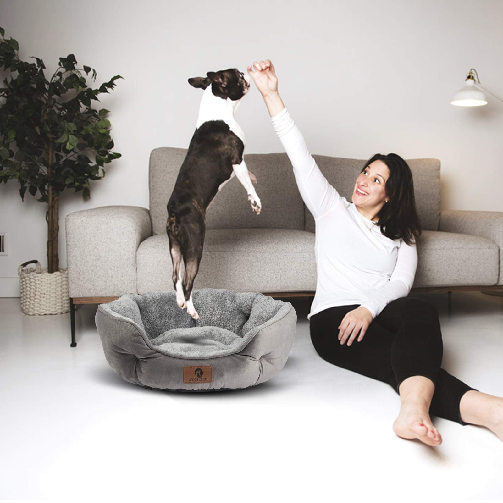 Asvin cama apta para gatos y perros pequeños en uso interior.