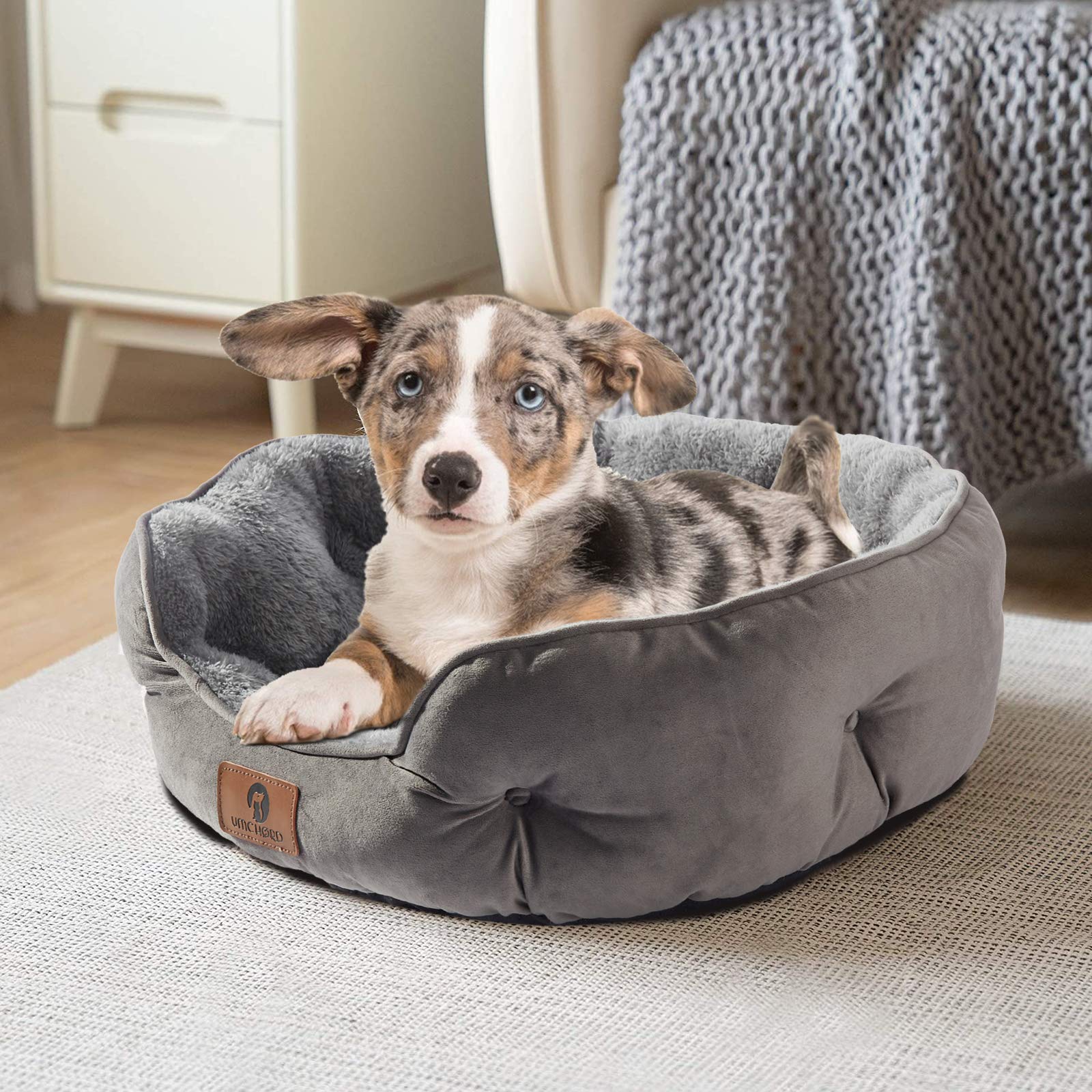Asvin dog bed anti-slip bottom keeps it in place on smooth floors