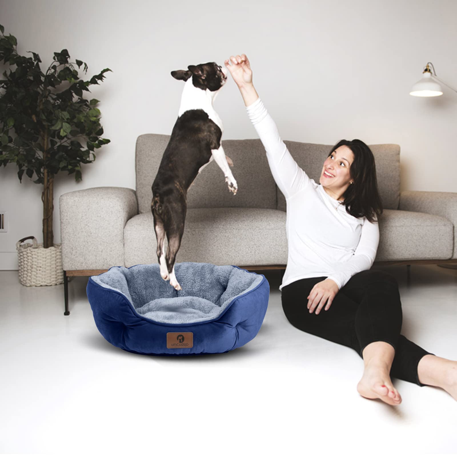 Asvin water-resistant Oxford bottom protects floors from spills