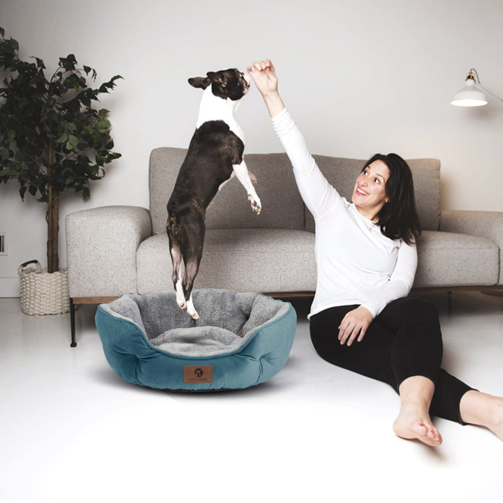 Asvin machine-washable pet bed easy to clean on gentle cycles