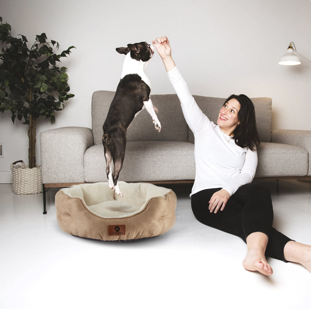 Asvin pet bed ideal for indoor cats and dogs lounging