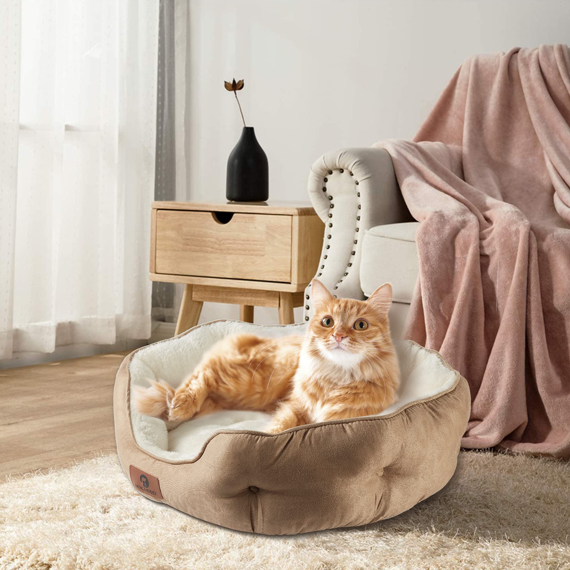 Asvin small dog bed 20-inch size fits small-to-medium dogs and cats
