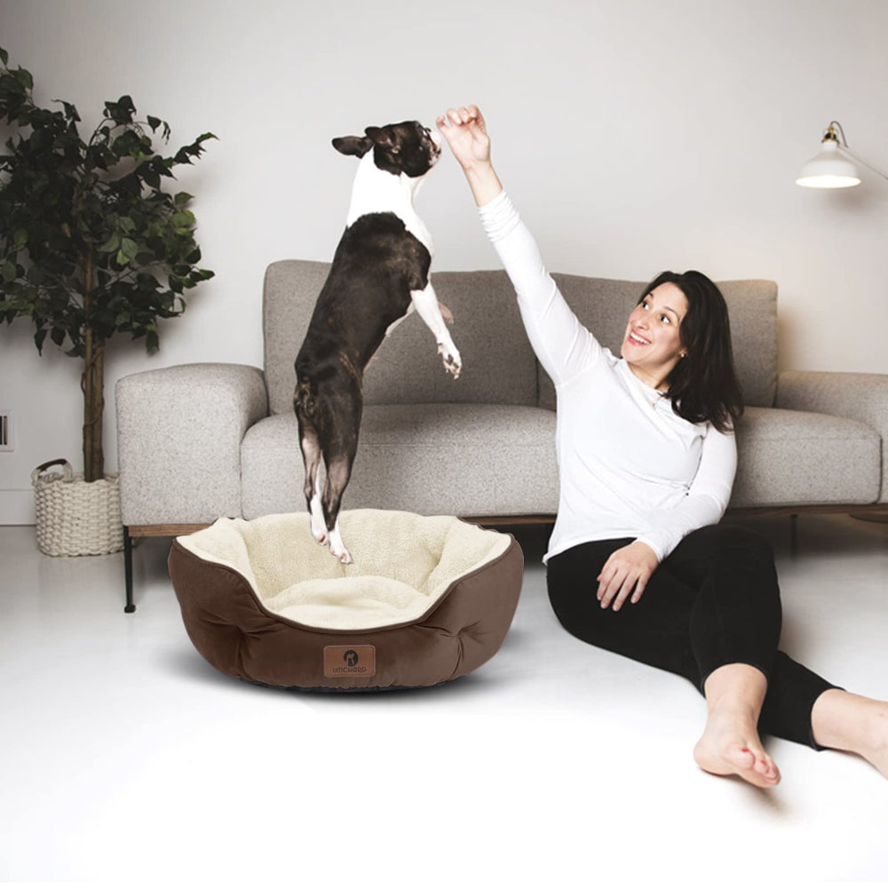 Asvin 20-inch bed sized for small dogs and cats for versatile indoor use.