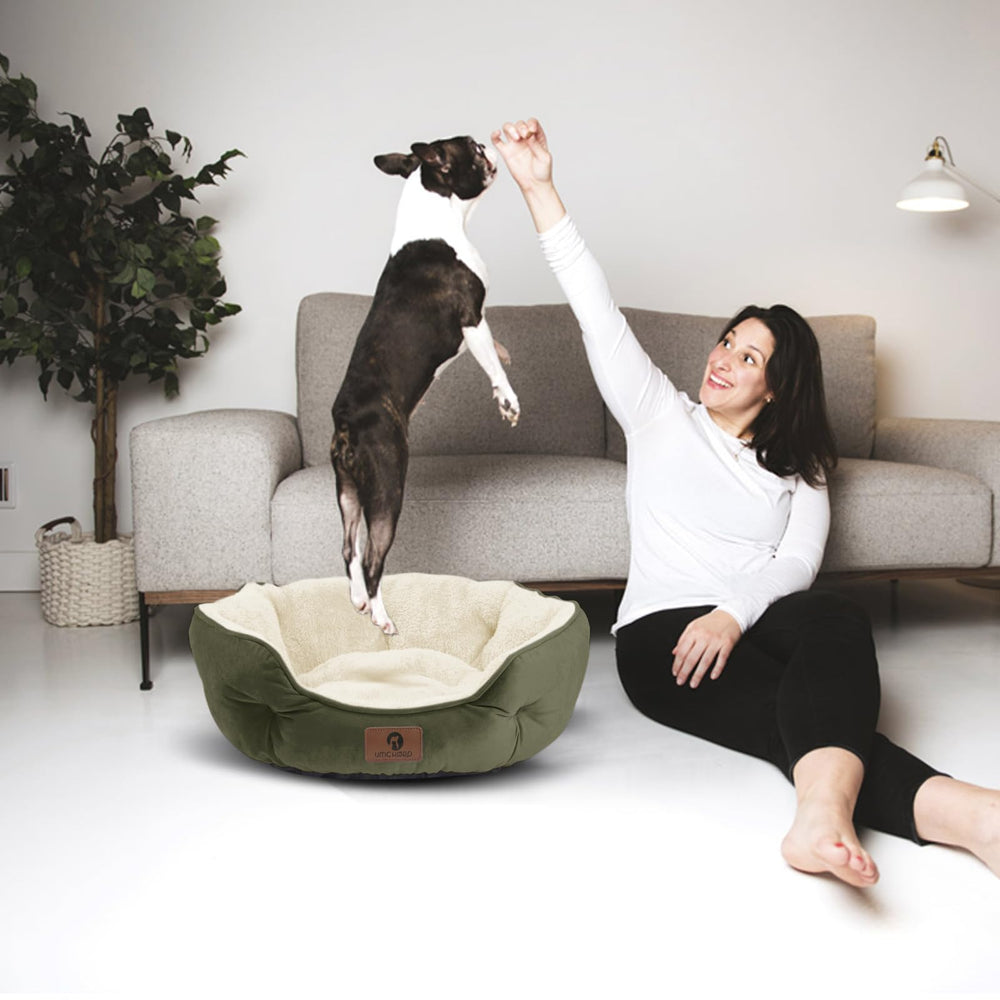 Asvin small dog bed green color fits any room decor