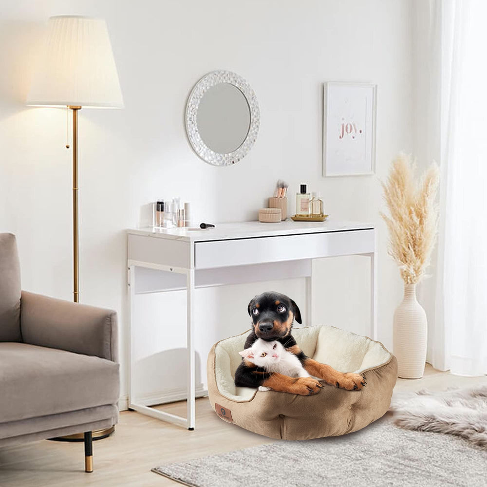 Asvin small dog bed in living room decor blends with home