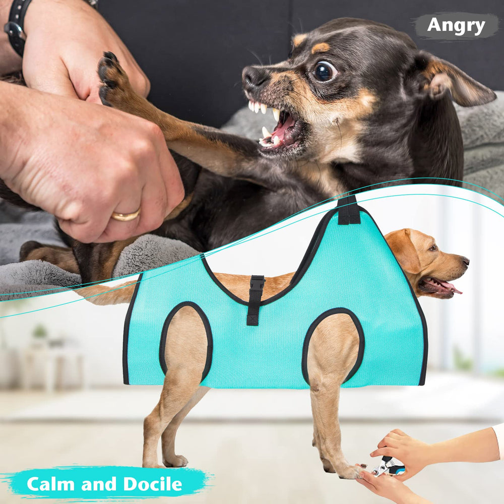 ATESON bundle kit promotes calm grooming at home with familiar setup.