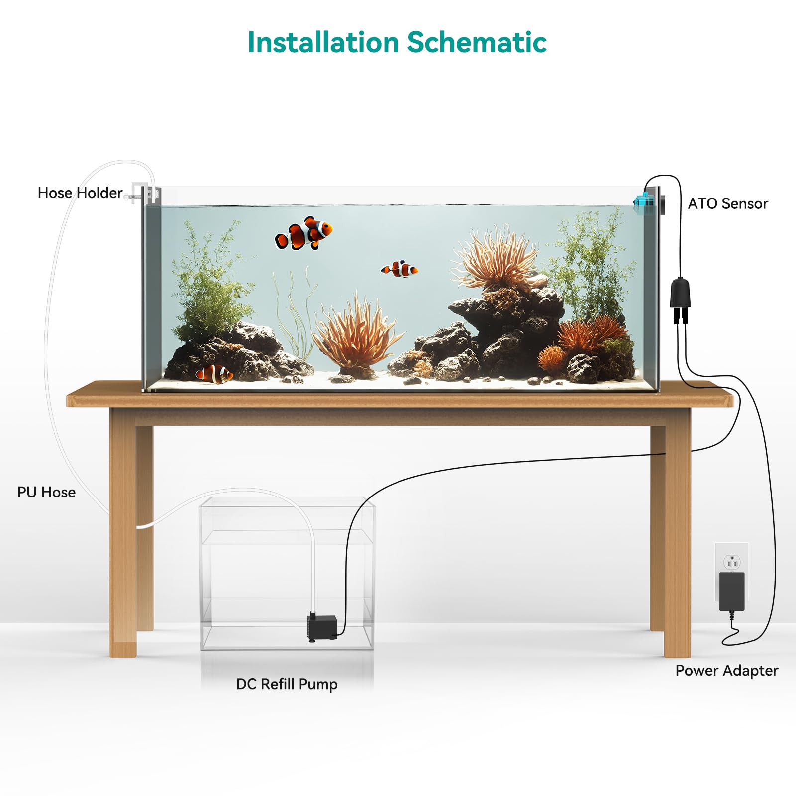ATET ATO stabilized water parameters maintain salinity consistency for coral health