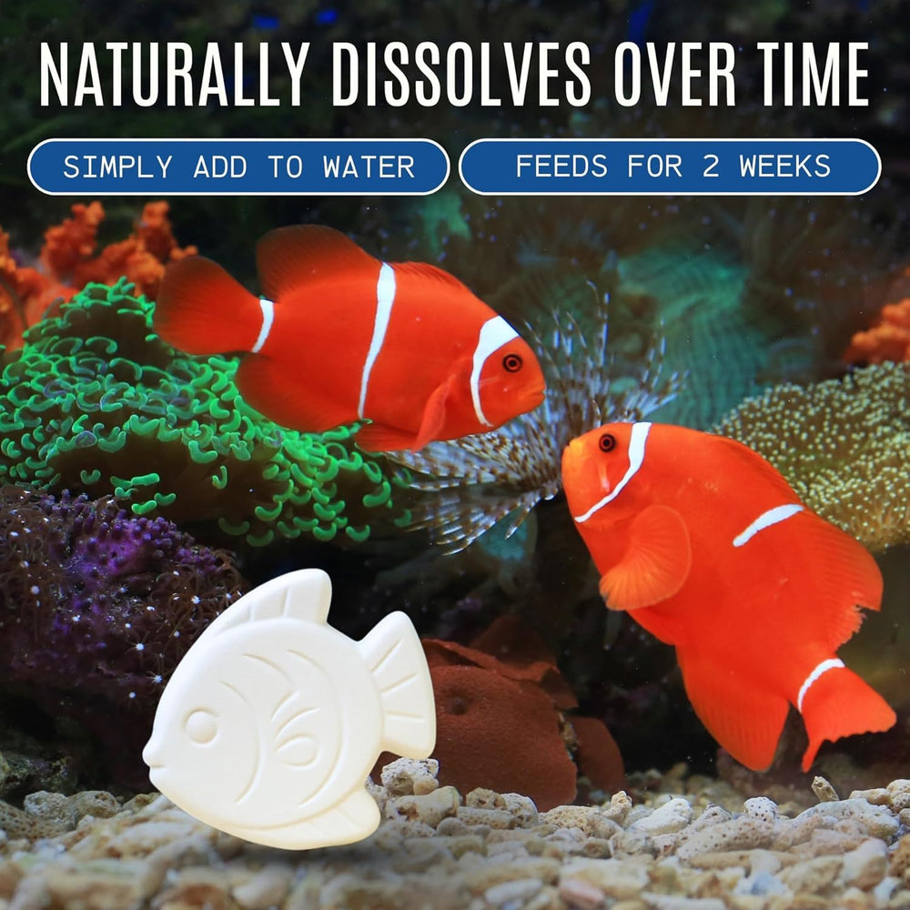 Atlantic Rush tropical fish tank with blocks providing consistent slow-release nutrition.