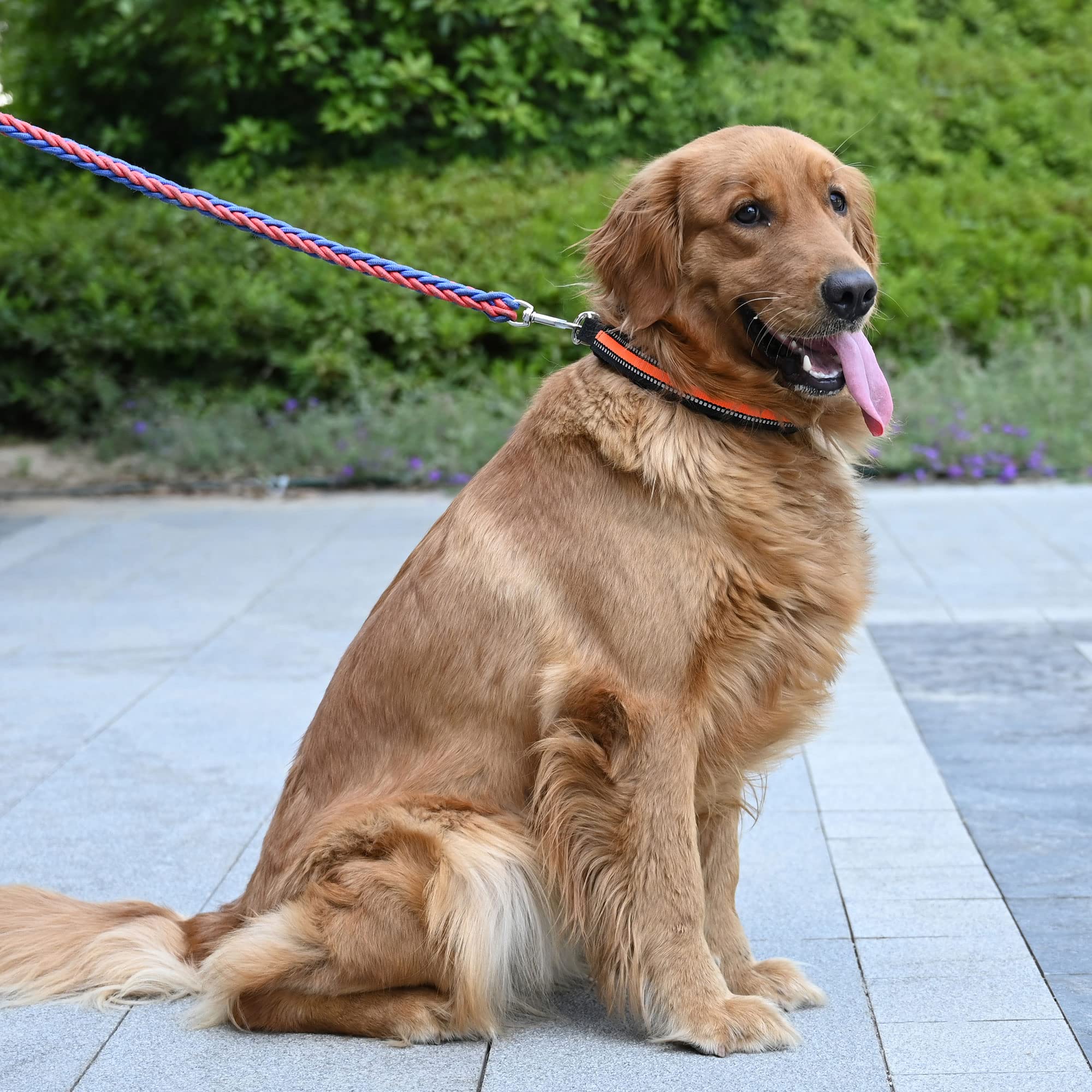 ATO-DJCX pack con tallas ajustables para perros de diferentes tamaños.