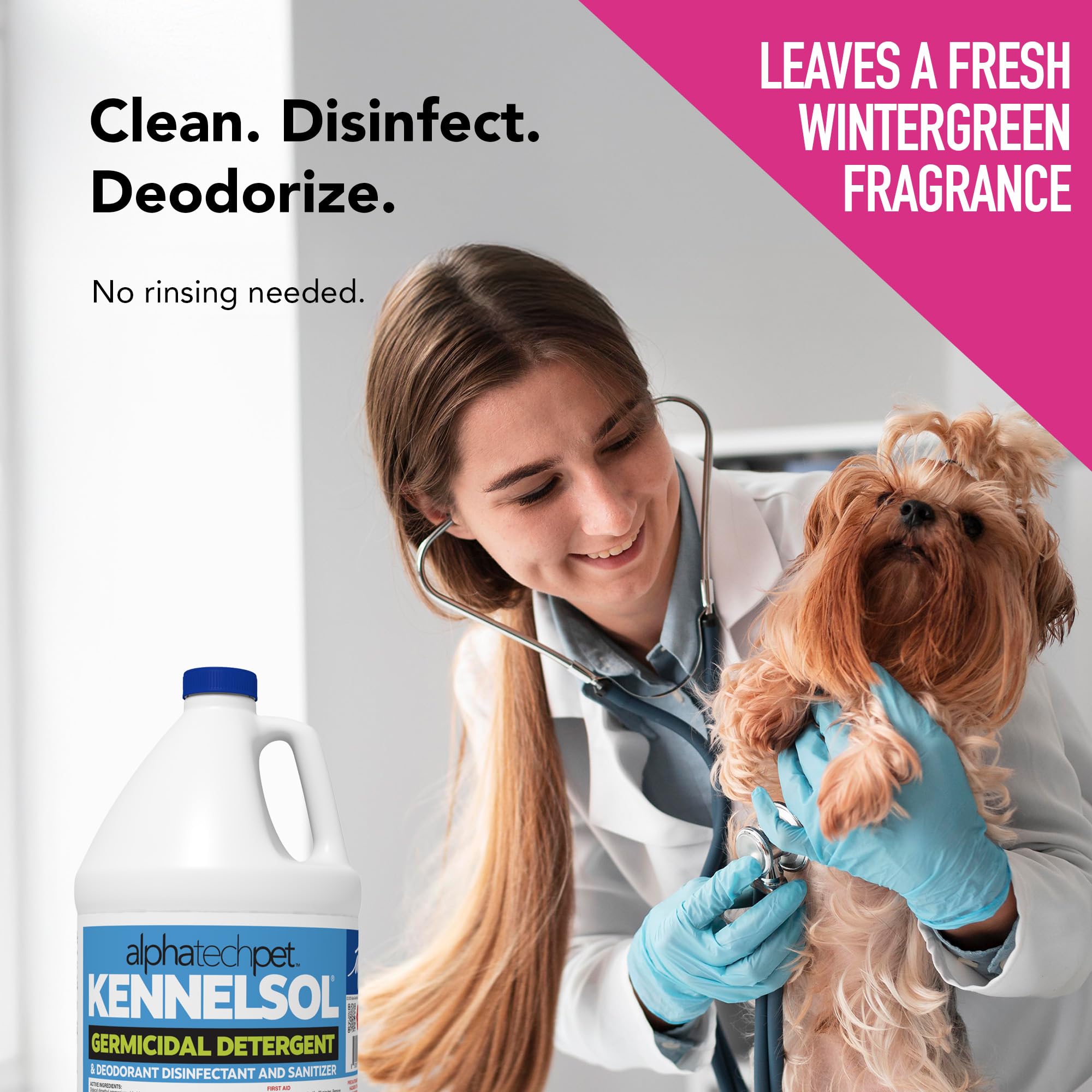 ATP KennelSol kennel area cleaning in daily use within a facility.