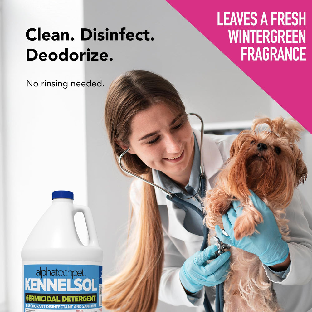 ATP KennelSol kennel area cleaning in daily use within a facility.