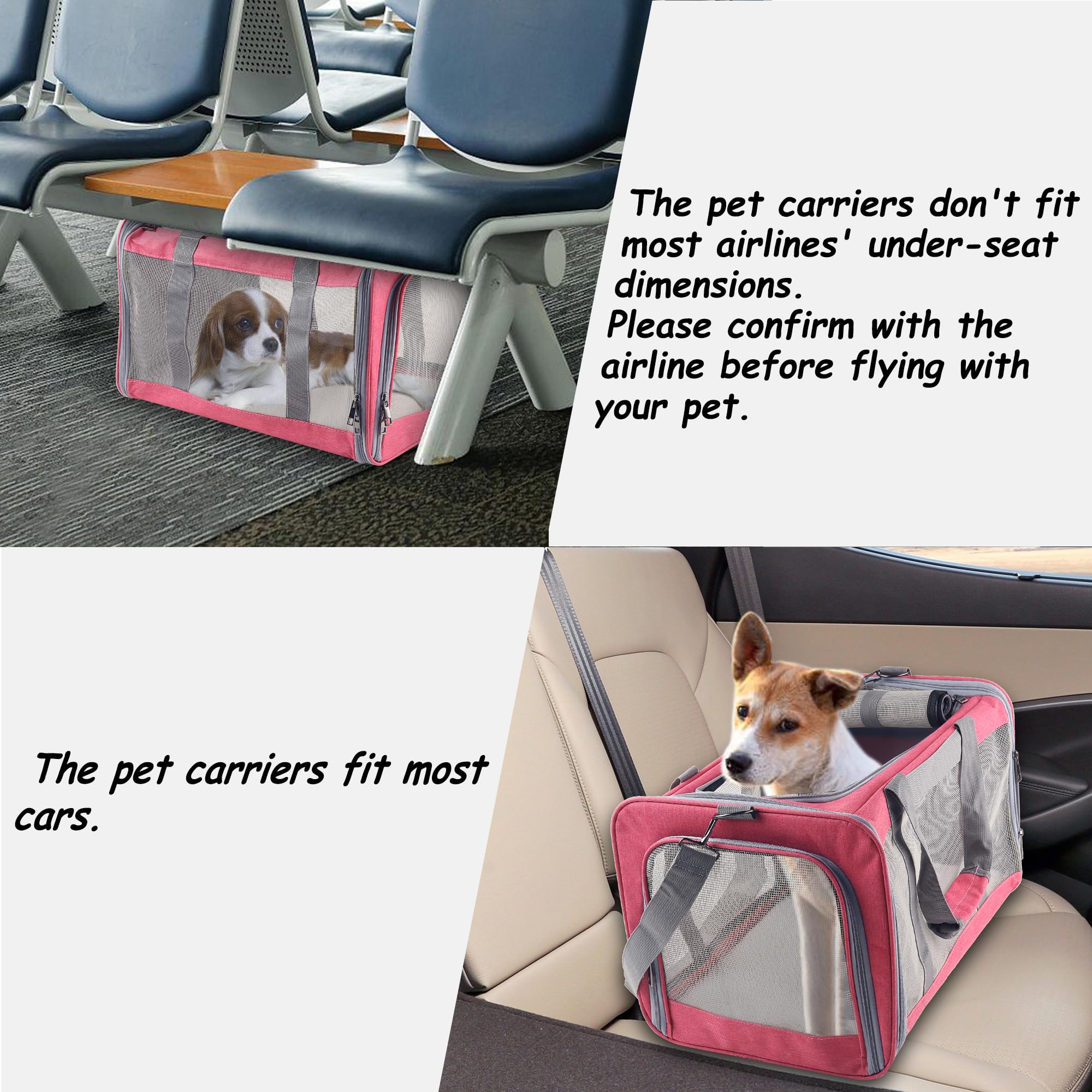 Atvobiy cat carrier reminds travelers to check airline requirements before flying