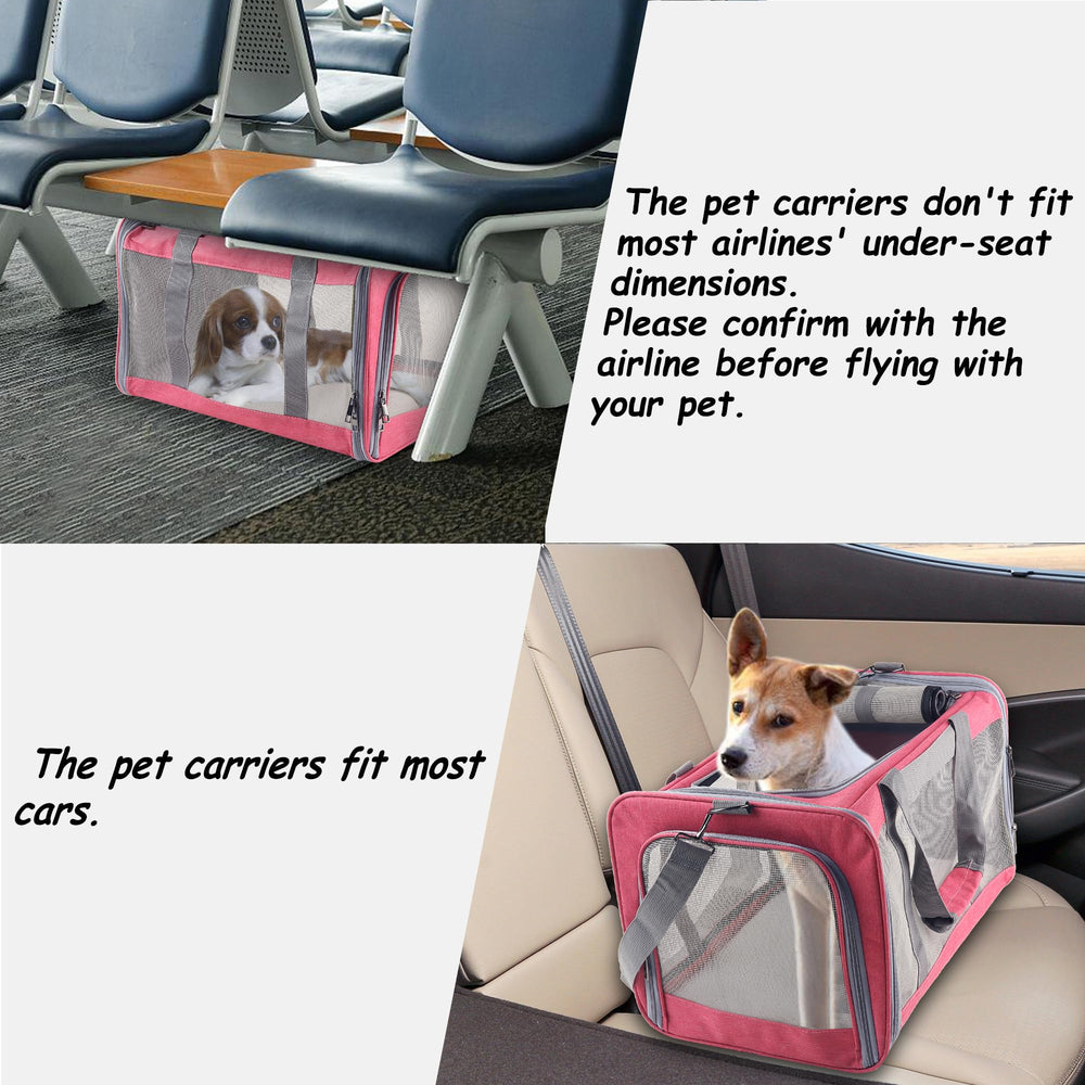 Atvobiy cat carrier reminds travelers to check airline requirements before flying