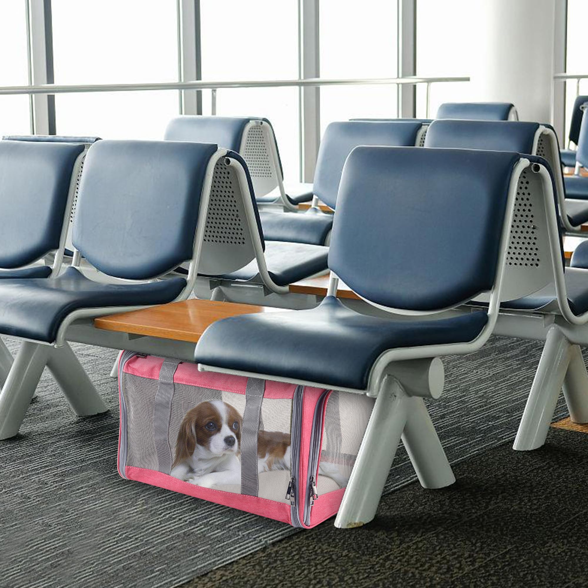 Atvobiy cat carrier features removable base insert for a stable standing surface