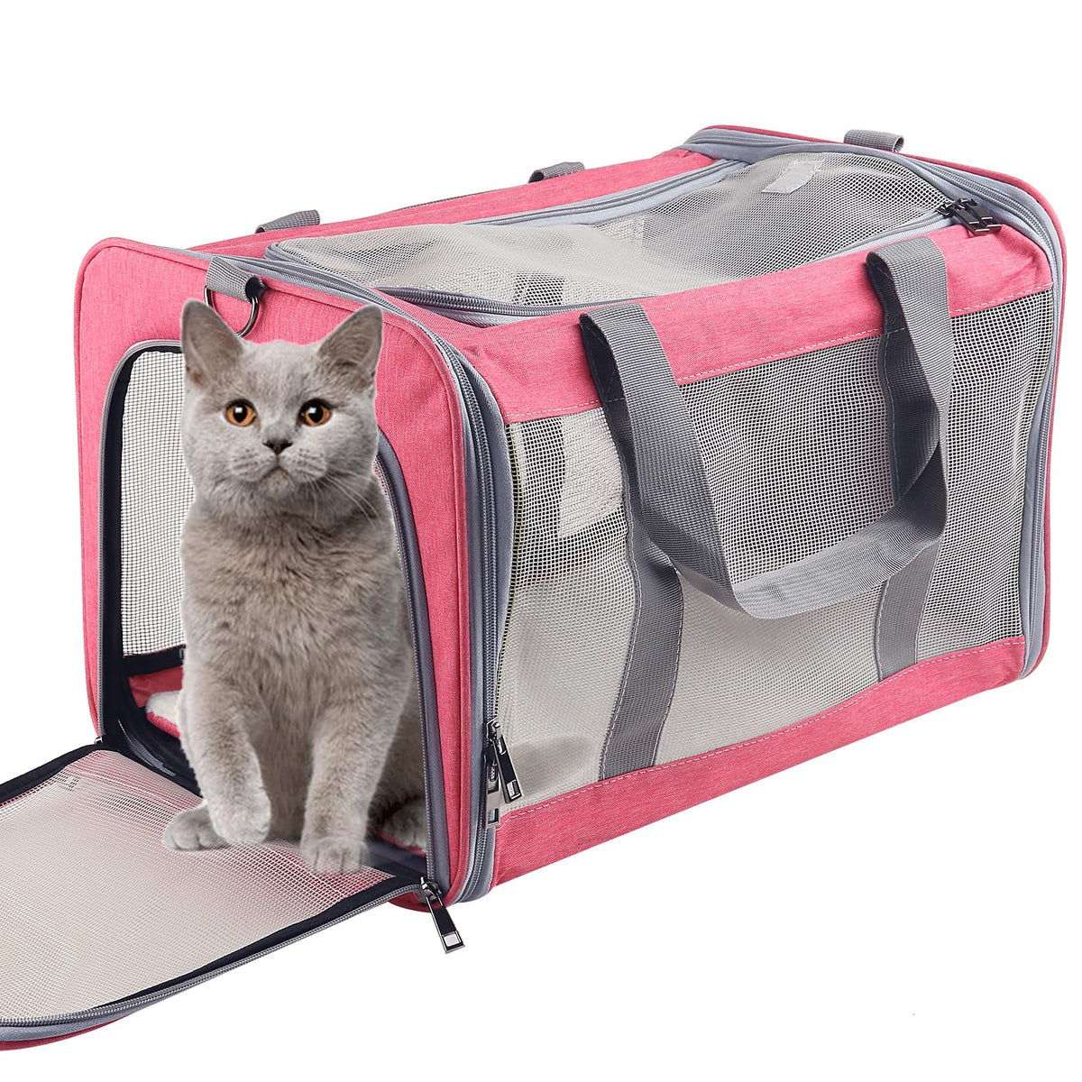 Atvobiy large cat carrier demonstrates 18-inch dimensions for safe travel with medium to large cats