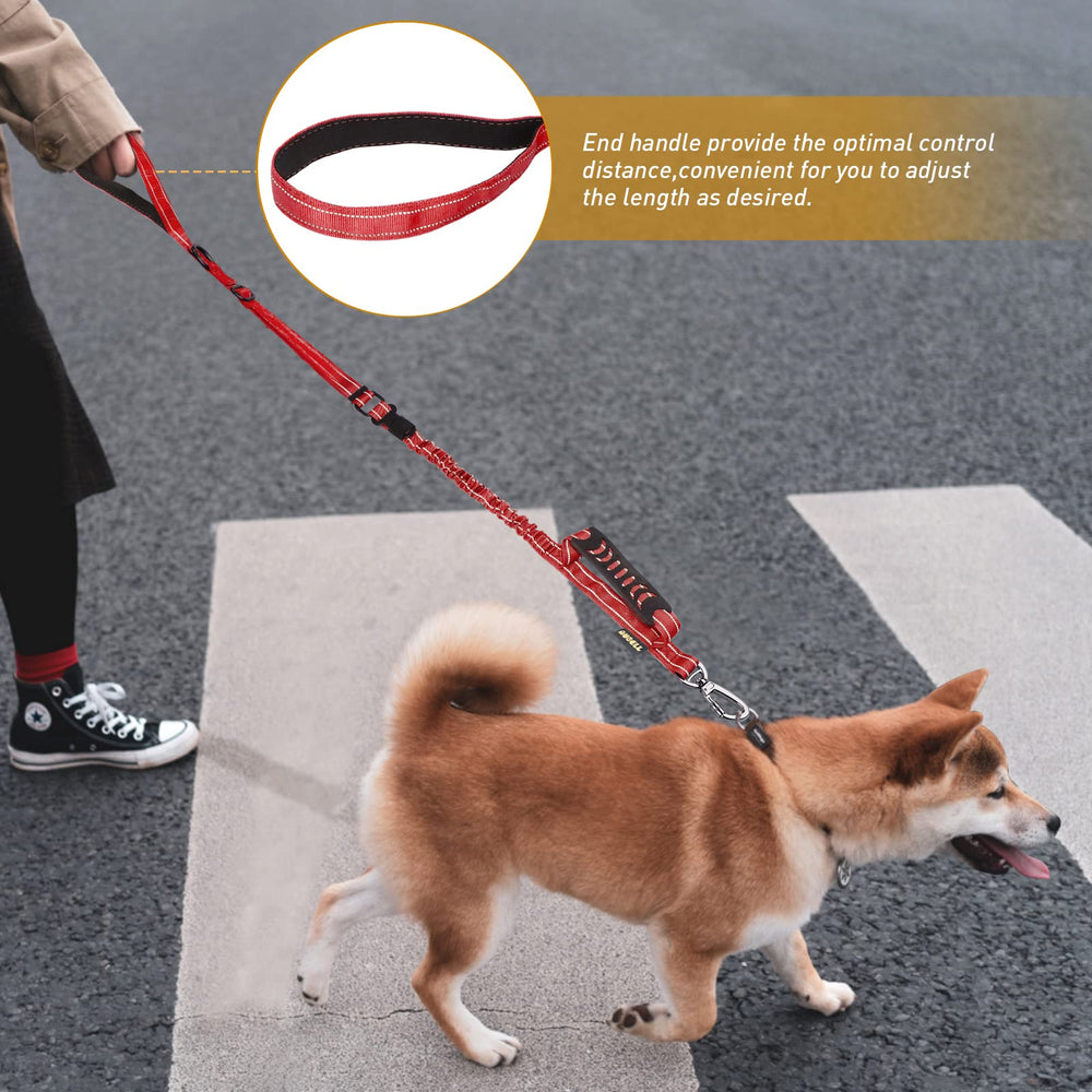 AUBELL leash in action during a backyard walk shows strong, controlled movement.