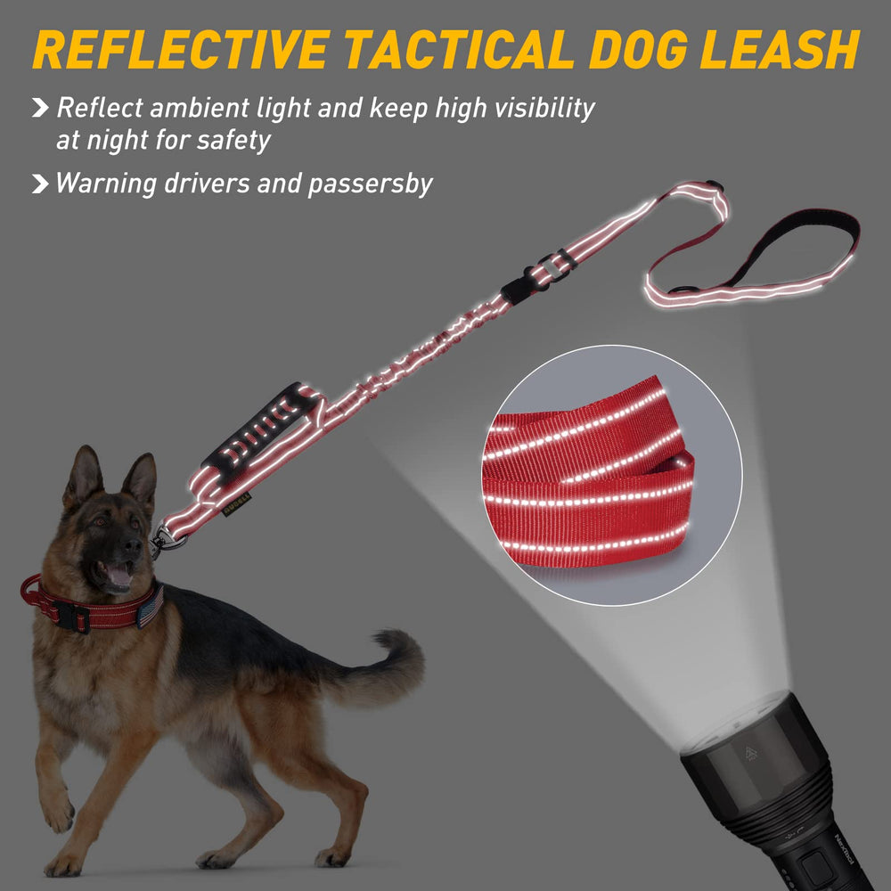 AUBELL shock-absorbing bungee leash cushions pulls for smoother training sessions.
