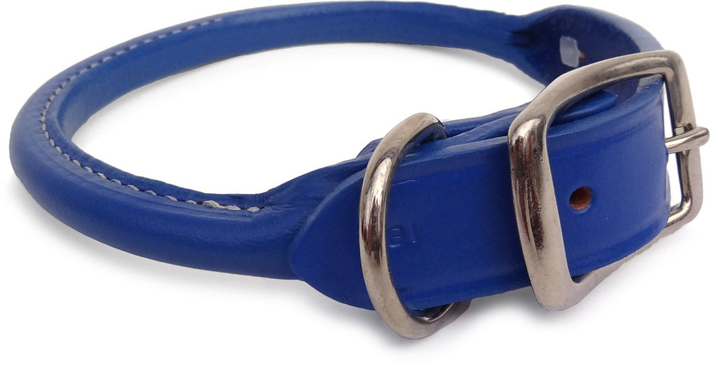 Auburn Leathercrafters rolled dog collar Royal Blue closeup showing durable hardware for daily walks
