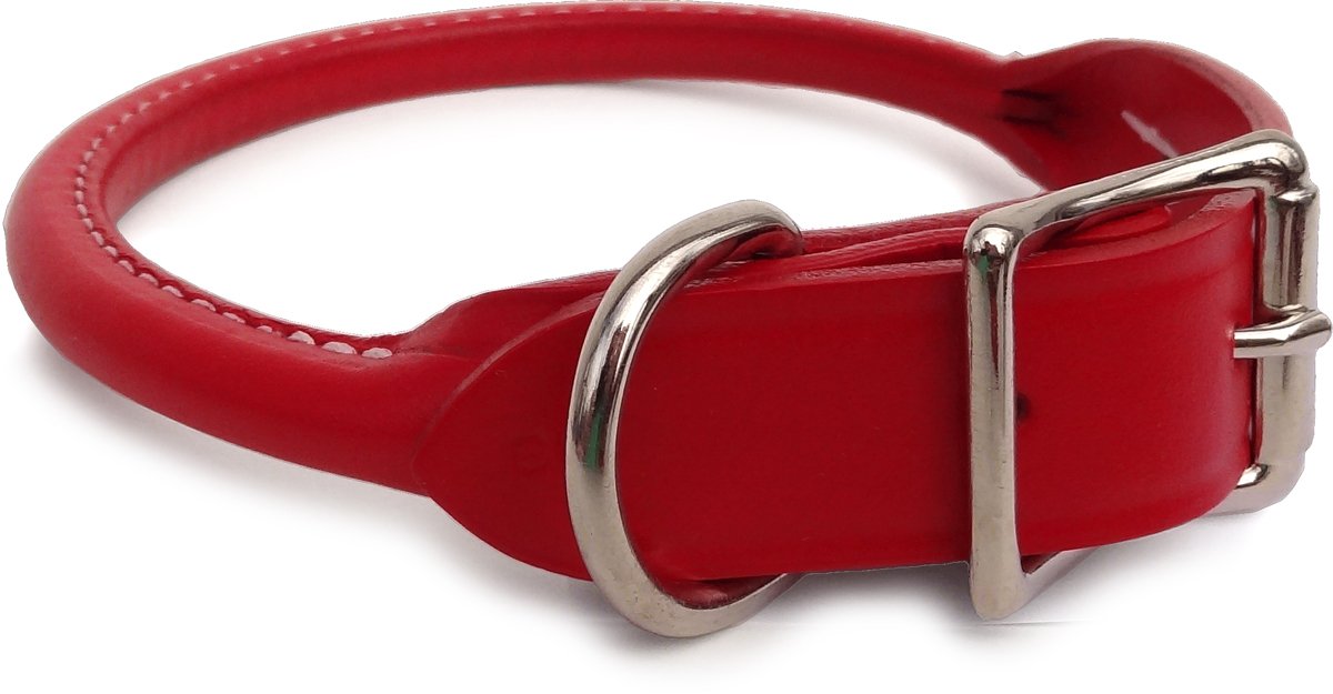 Auburn Leathercrafters round dog collar red close-up showing beveled edges for comfort