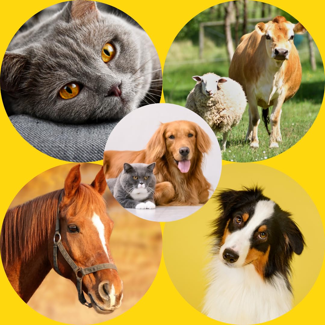 AudioMart crema ocular para gatos y perros, textura suave para cuidado diario.