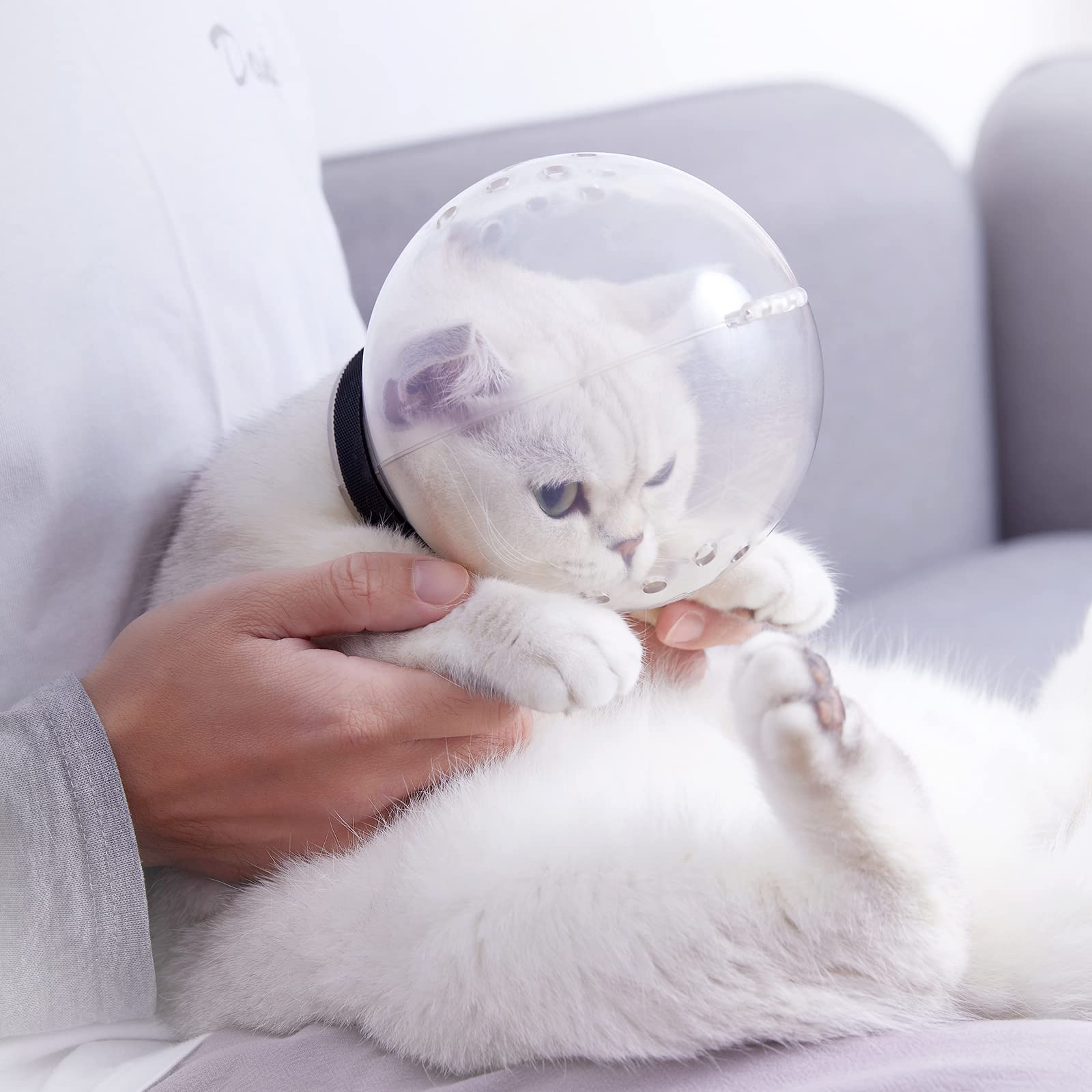Augegel bubble cover for bathing pets keeps water splashes under control.