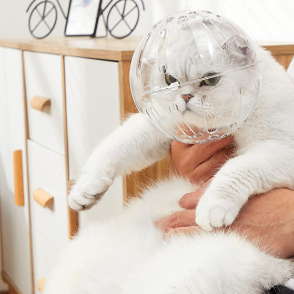 Augegel headgear assembly for safe grooming and bathing sessions