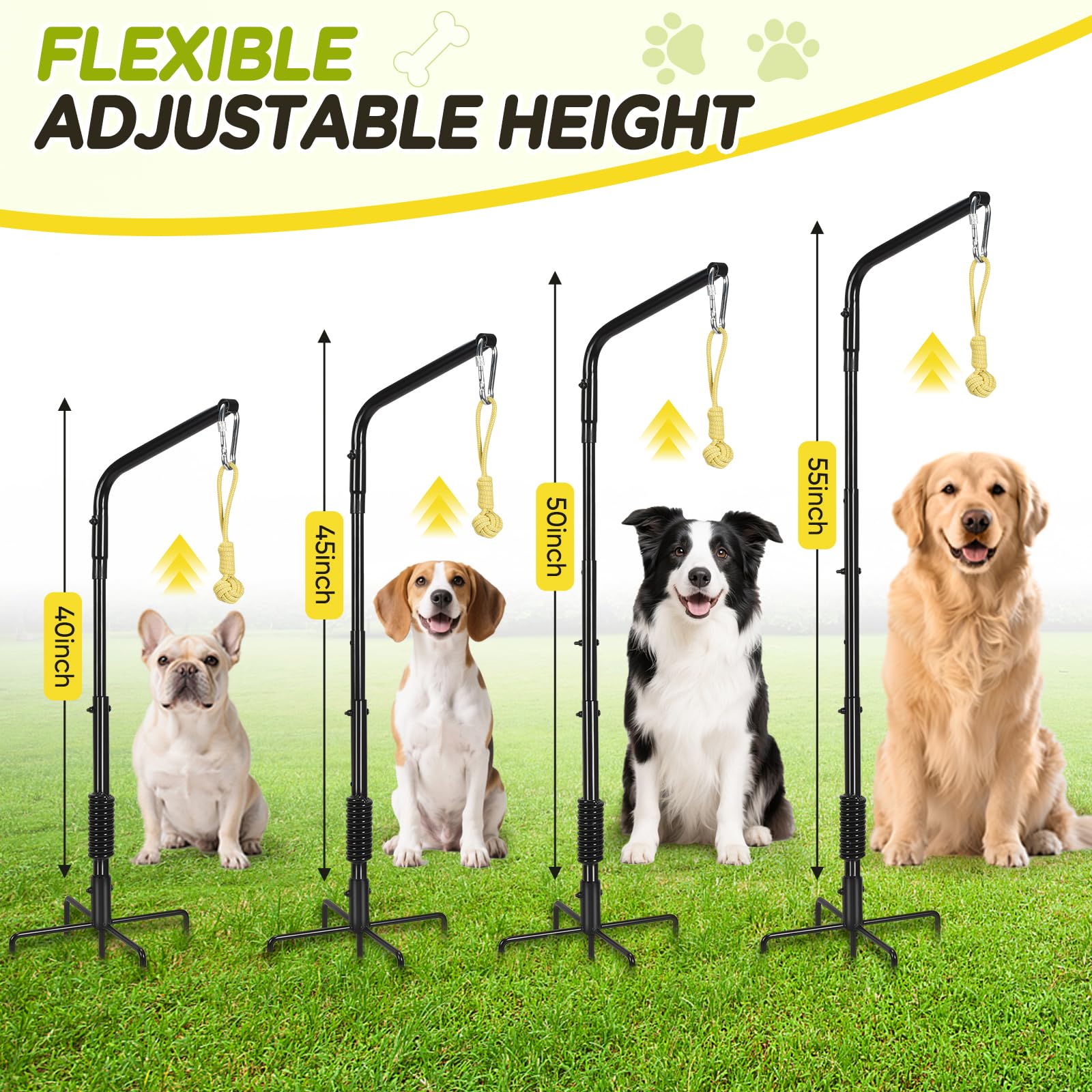 AugFir Tether adjustable height pole fits small to large dogs