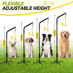 AugFir Tether adjustable height pole fits small to large dogs