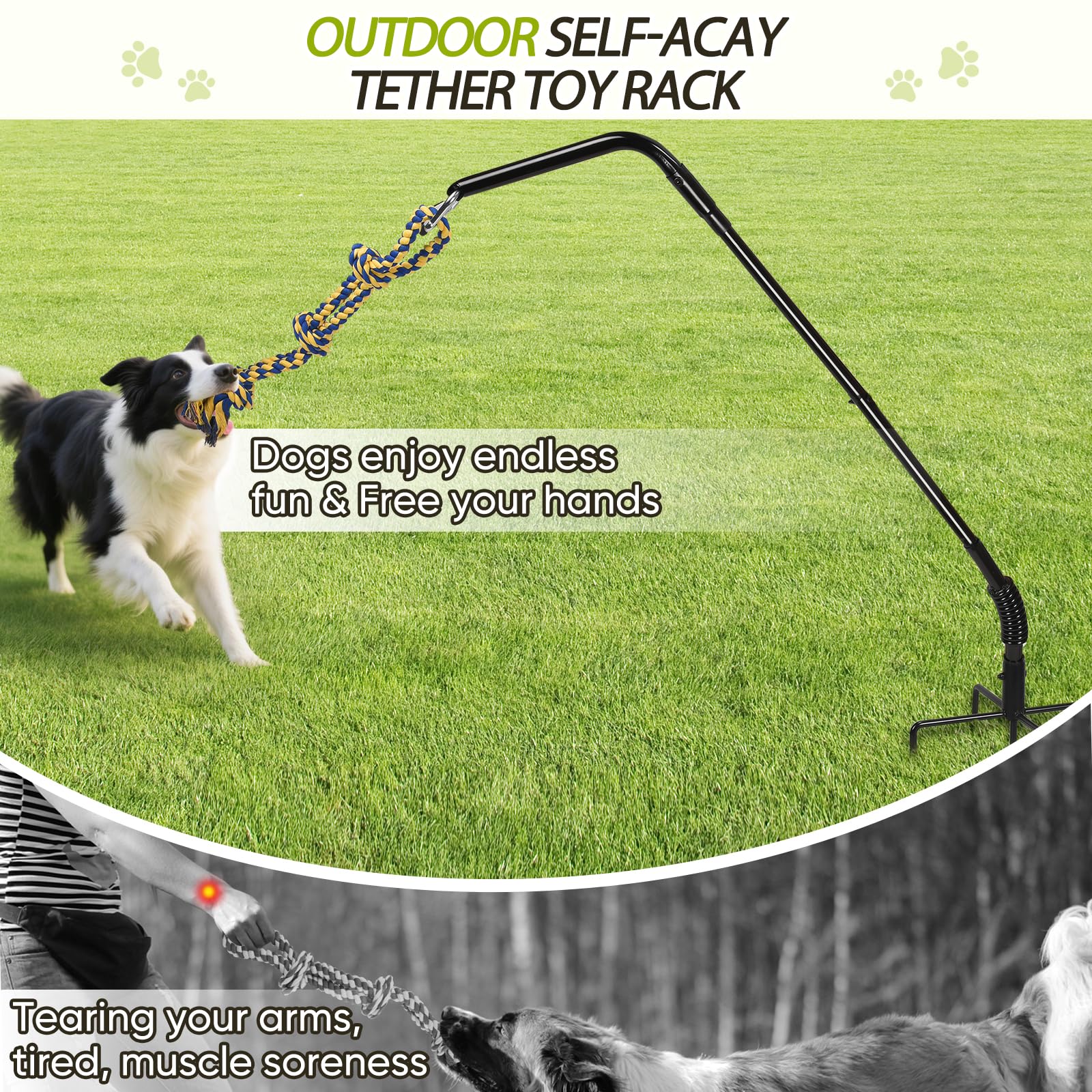 AugFir Tether self-play setup allows dogs to entertain themselves