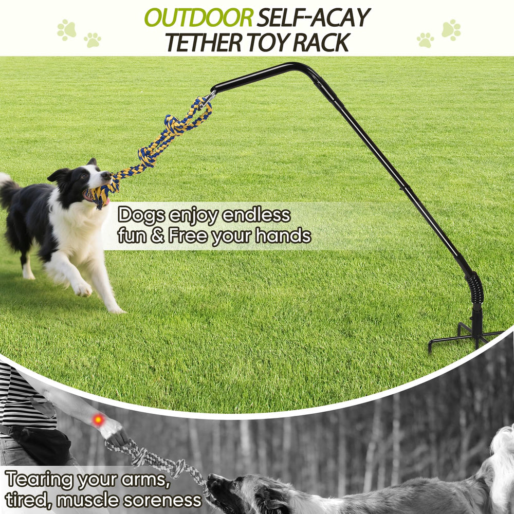AugFir Tether self-play setup allows dogs to entertain themselves