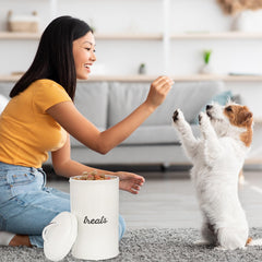 AuldHome Design enamelware dog treat jar on kitchen shelf with white enamel and retro vibe.