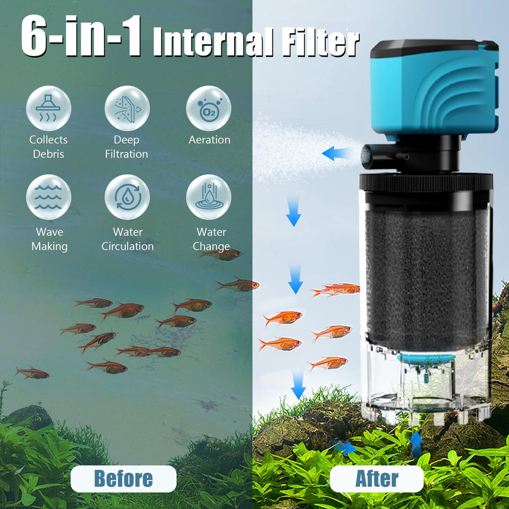 Aulofee internal filter debris tray visible captures uneaten food for cleaner tank maintenance.
