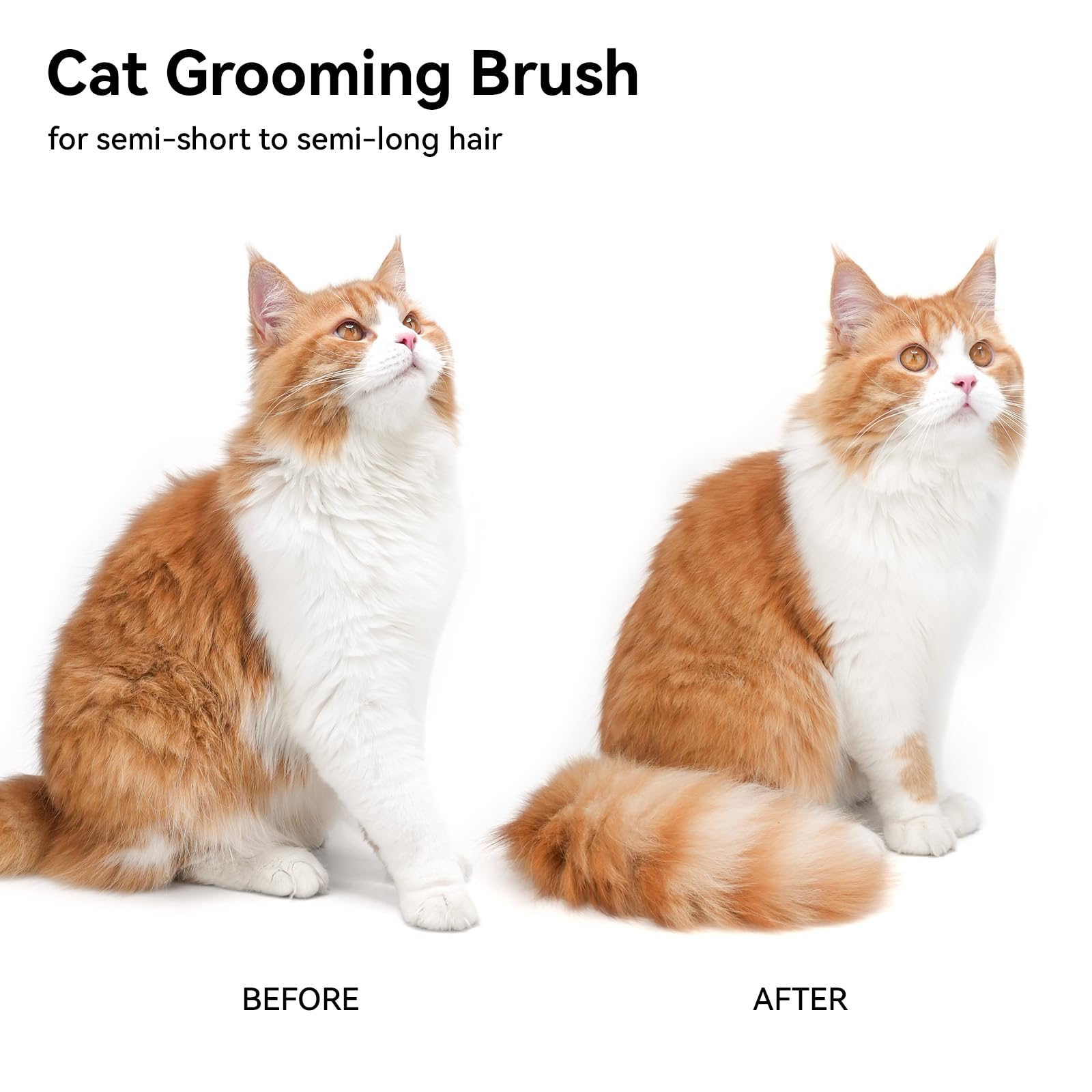 Aumuca cat brush ergonomic handle design supports comfortable grooming sessions.