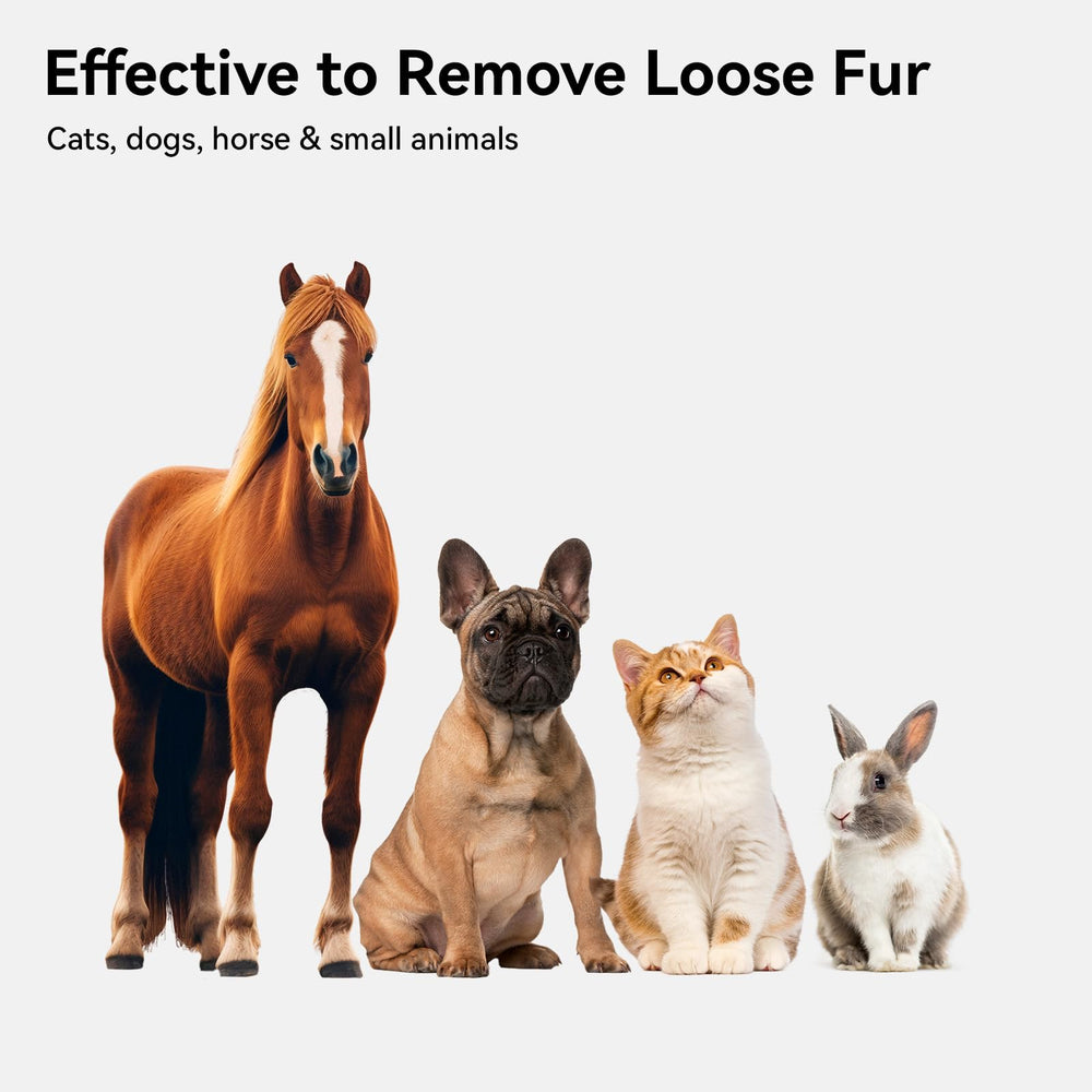 Aumuca grooming brush bristles up close demonstrates durable stainless steel bristles for shedding
